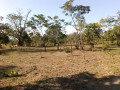 17-acres-land-for-sale-in-kanakantapa-small-0