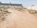 40m-by-30m-plot-for-sale-in-foxdale-small-2