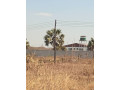 50m-by-40m-plot-for-sale-in-makeni-bonaventure-small-3
