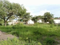 plot-for-sale-in-ibex-hill-small-4