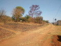 land-for-sale-in-ibex-hill-small-0