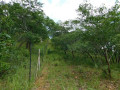 land-for-sale-in-shimabala-small-3