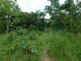 Land For Sale in Shimabala