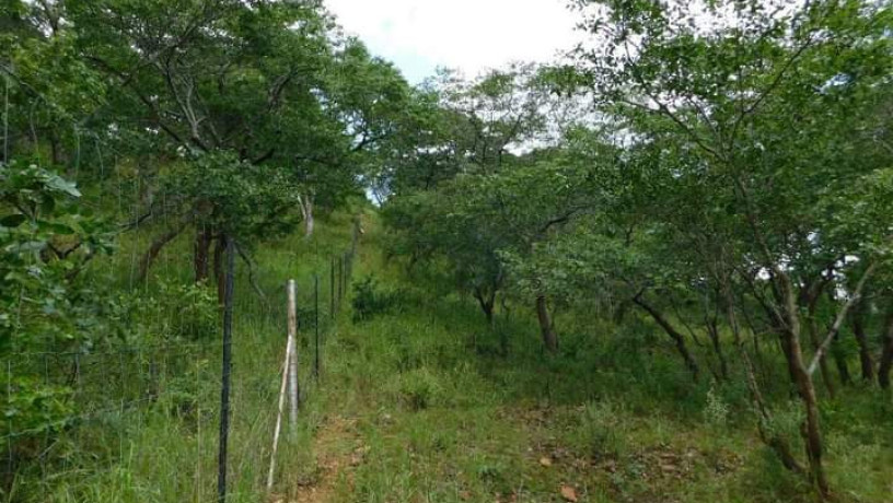 land-for-sale-in-shimabala-big-3