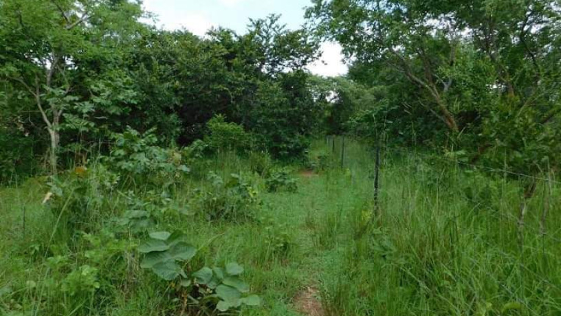 land-for-sale-in-shimabala-big-0