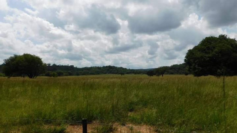 land-for-sale-in-shimabala-big-8