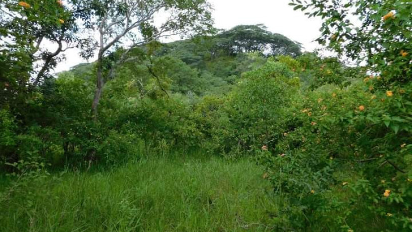 land-for-sale-in-shimabala-big-1