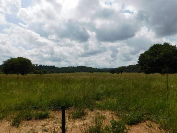 land-for-sale-in-shimabala-big-8