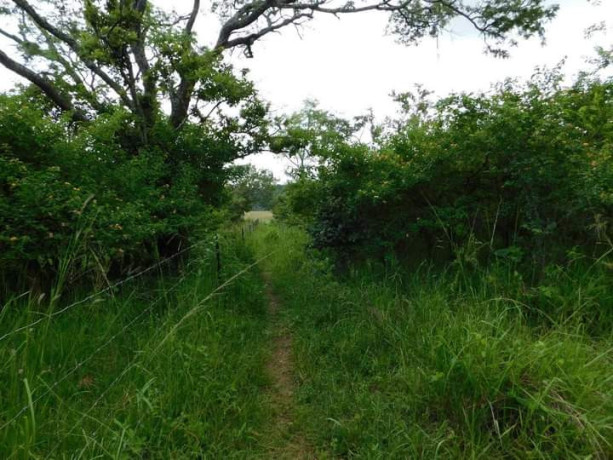 land-for-sale-in-shimabala-big-2