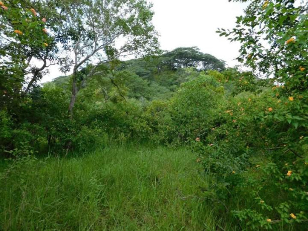land-for-sale-in-shimabala-big-1