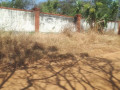 1-acre-plot-for-sale-in-ibex-hill-small-3