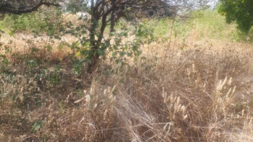 1-acre-plot-for-sale-in-ibex-hill-big-2