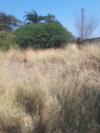 1-acre-plot-for-sale-in-ibex-hill-big-0