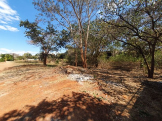 Land for Sale in Ibex Meanwood