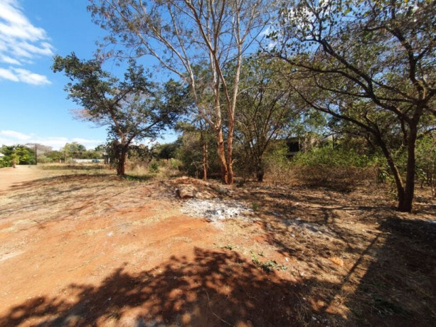 land-for-sale-in-ibex-meanwood-big-0