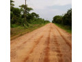 5-hectares-land-for-sale-in-kasisi-small-4