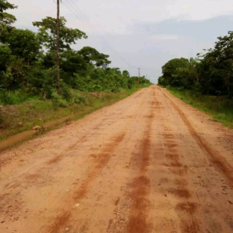 5-hectares-land-for-sale-in-kasisi-big-4