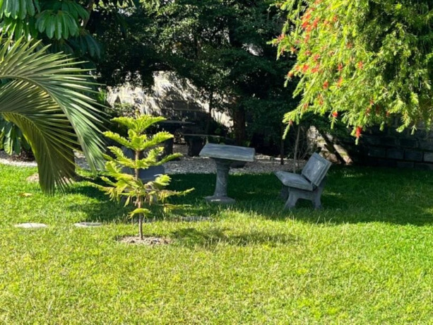 4-bedroom-house-for-rent-in-ibex-hill-big-2