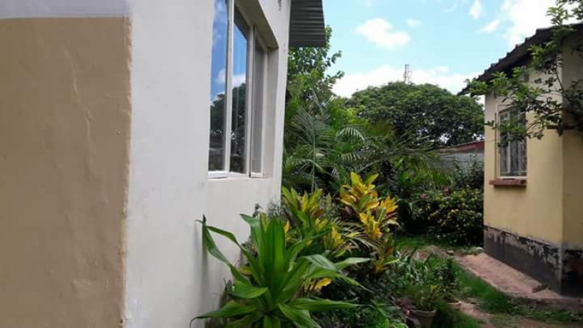 2-bedroom-cottage-for-rent-in-woodlands-big-0