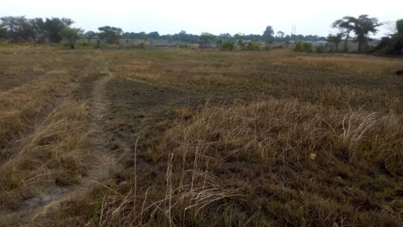 plot-for-sale-in-dola-hill-ndola-big-1