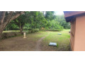 property-for-sale-in-makeni-small-3
