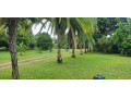 property-for-sale-in-makeni-small-7