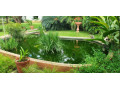 property-for-sale-in-makeni-small-2