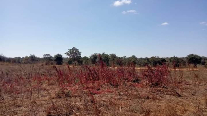 farm-for-sale-in-chongwe-big-6