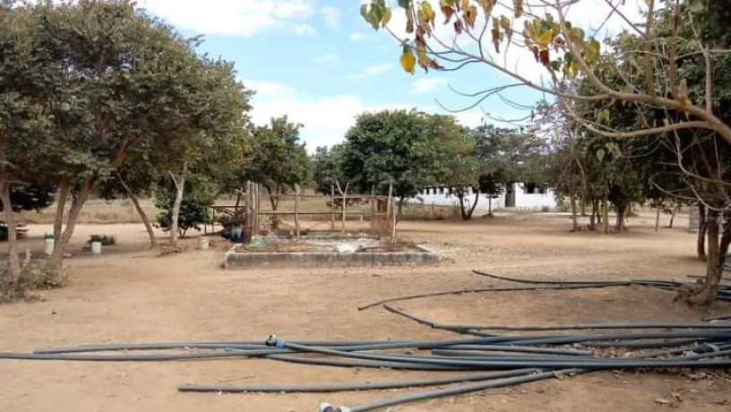 farm-for-sale-in-chongwe-big-2