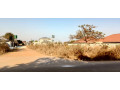 prime-land-for-sale-in-ibex-meanwood-small-4