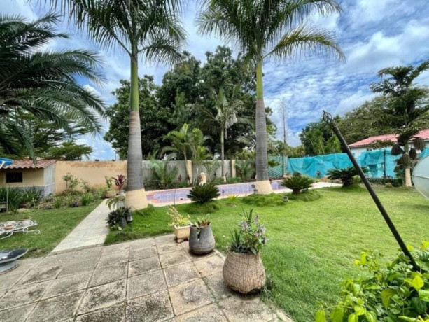 4-bedroom-house-for-sale-in-rhodes-park-big-8