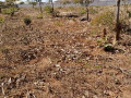 prime-plot-for-sale-in-chalala-small-2