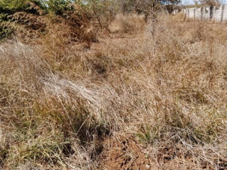 Prime Plot for Sale in Chalala