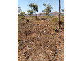 prime-plot-for-sale-in-chalala-small-2