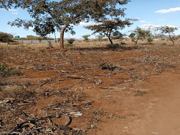 prime-plot-for-sale-in-chalala-big-1
