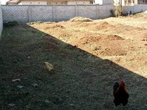 40m-by-20m-plot-for-sale-in-lilayi-big-0