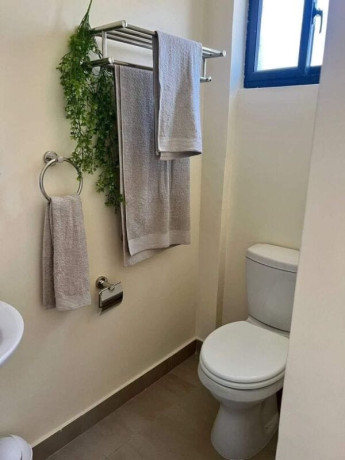 1-bedroom-apartments-for-rent-in-longacres-big-2