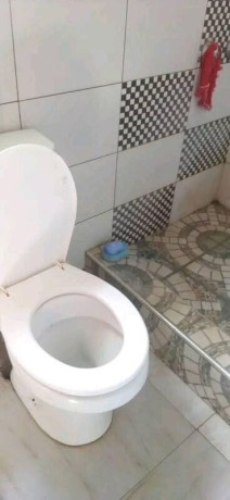 1-bedroom-flat-for-rent-in-lilayi-big-6