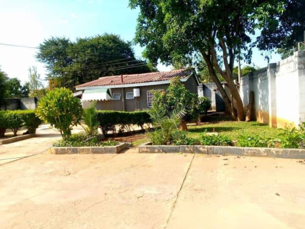 4-bedroom-family-house-and-1-bedroom-cottage-for-rent-in-makeni-bonaventure-big-1