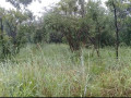 40m-by-30m-plot-for-sale-in-kafue-estates-small-1