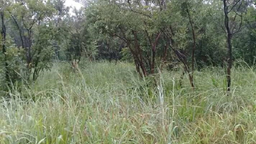 40m-by-30m-plot-for-sale-in-kafue-estates-big-1