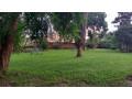 3-bedroom-house-for-rent-in-roma-small-3