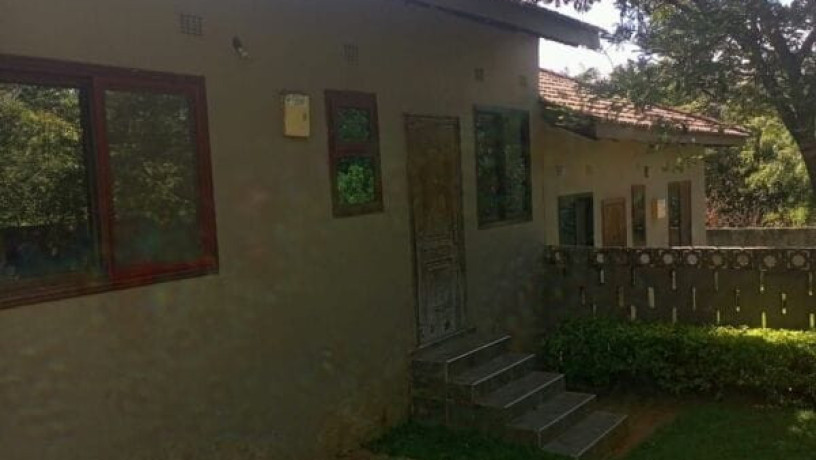 2-bedroom-flat-for-rent-in-roma-park-big-3