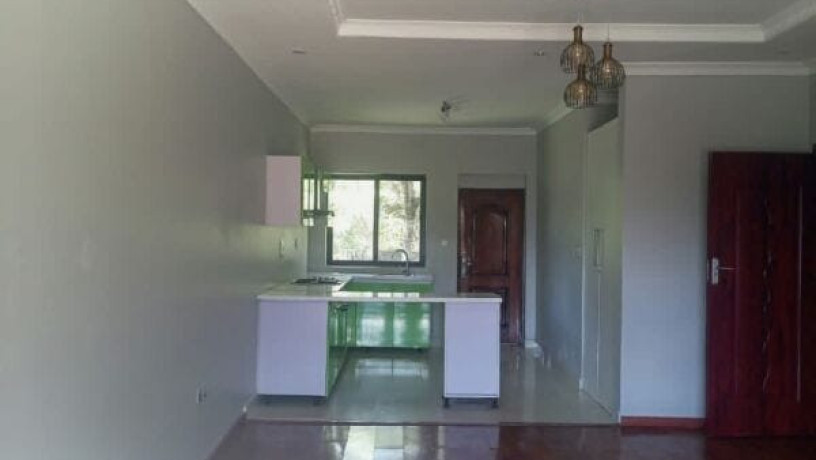 2-bedroom-flat-for-rent-in-roma-park-big-8