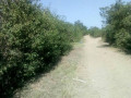 5600-sq-mt-of-plot-for-sale-in-matipula-area-chongwe-small-2