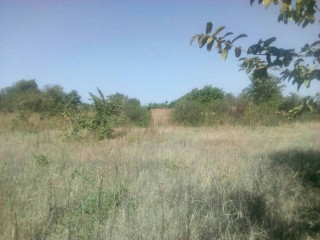 5600 Sq mt Of Plot For Sale In Matipula Area Chongwe