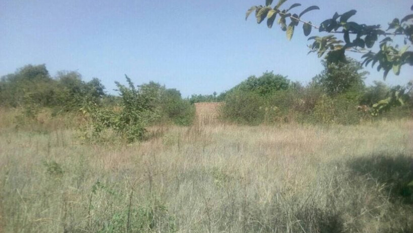 5600-sq-mt-of-plot-for-sale-in-matipula-area-chongwe-big-0