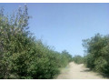 5600-sq-mt-of-plot-for-sale-in-matipula-area-chongwe-small-1