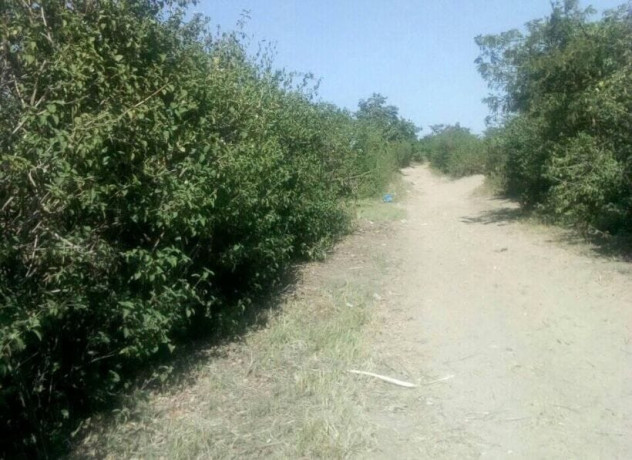 5600-sq-mt-of-plot-for-sale-in-matipula-area-chongwe-big-2