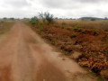 plot-for-sale-in-kafue-west-small-1